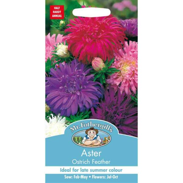 Mr Fothergill's Aster Ostrich Feather Seeds