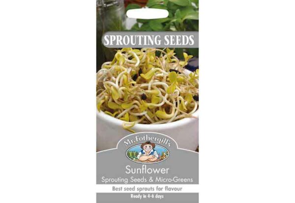 Mr Fothergill's Sprouting Seed Sunflower Black Seeded Seeds