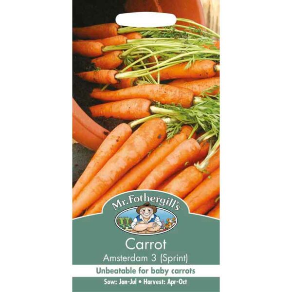 Mr Fothergill's Carrot Amsterdam 3 (Sprint) Seeds