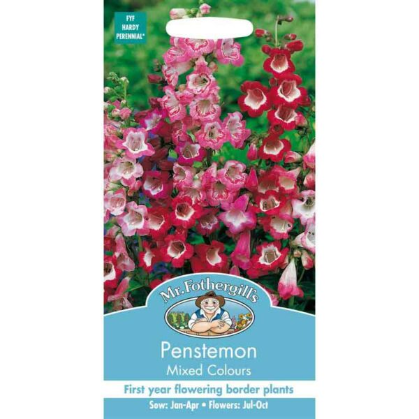 Mr Fothergill's Penstemon Mixed Colours Seeds
