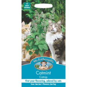 Mr Fothergill's Catnip Catmint Seeds