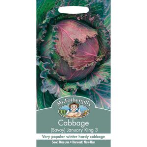 Mr Fothergill's Cabbage (Savoy) January King 3 Seeds