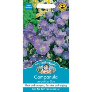 Mr Fothergill's Campanula Carpatica Blue Seeds