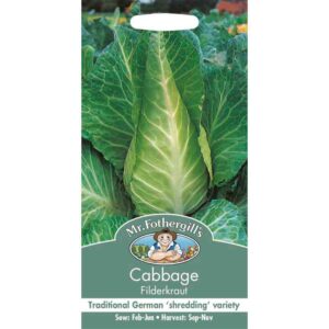 Mr Fothergill's Cabbage Filderkraut Seeds