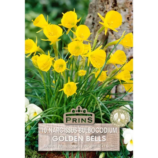 Narcissus Golden Bells (10 bulbs)
