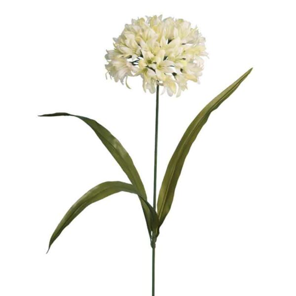 Floralsilk Cream Agapanthus Stem (67cm)