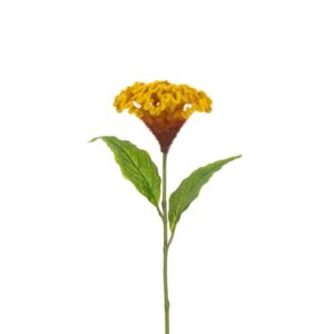 Floralsilk Celosia Spray Stem (62cm)
