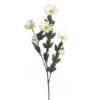 Floralsilk White Daisy Stem (71cm)