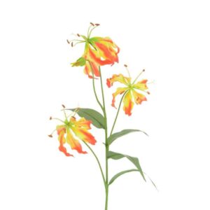 Floralsilk Gloriosa Lily Stem - 3 Heads (80cm)