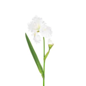 Floralsilk White Flag Iris Stem (90cm)