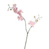 Floralsilk Mini Pink Phalaenopsis Stem (80cm)