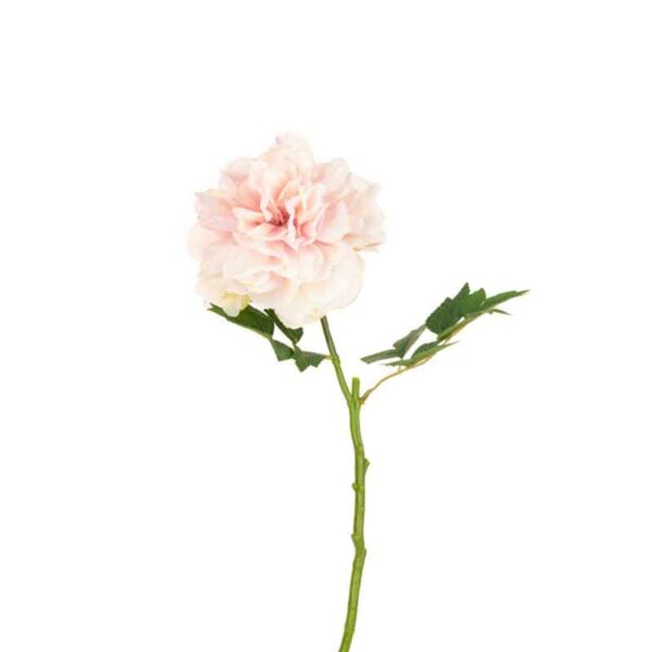 Floralsilk Blush Pink Peony Stem (62cm)