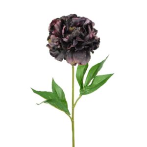 Floralsilk Aubergine Peony Stem (79cm)