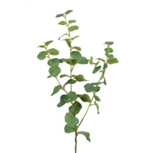Floralsilk Green Eucalyptus Spray (76cm)