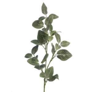 Floralsilk Fittonia Spray (67cm)