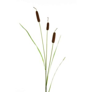 Green Grass Pack of 3 Artificial Meadow Cattail Sprays 66 cm Tall 