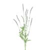 Floralsilk English Lavender Spray (85cm)