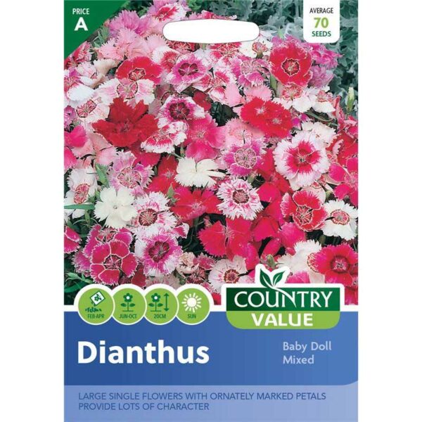 Country Value Dianthus Baby Doll Mixed Seeds