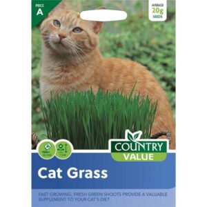Country Value Cat Grass Seeds