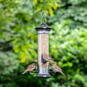 National Trust Apollo Easy Clean 4 Port Bird Seed Feeder in use