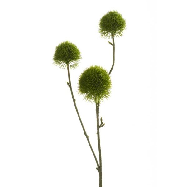 Green Dianthus Spray - 3 Heads (58cm)