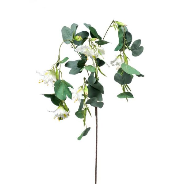 Cream Bauhinia Branch (130cm)