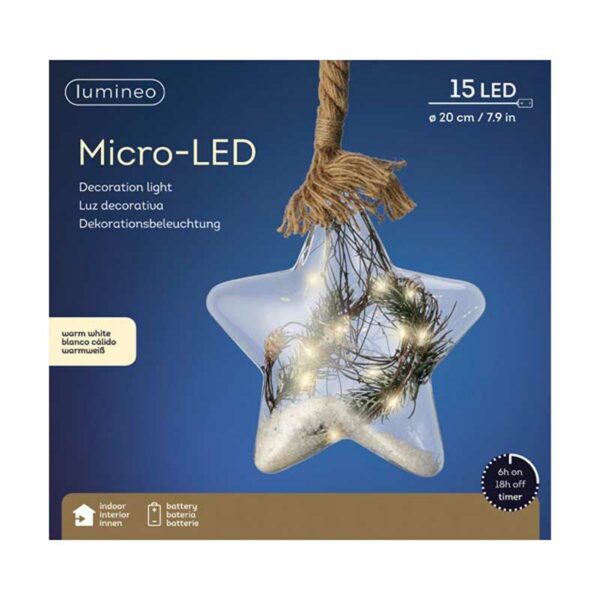 micro LED star w rope ind bo