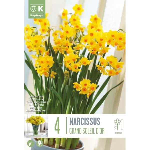 Bulb packaging featuring an image of potted Narcissus 'Grand Soleil D'Or' flowers. The yellow flowers are tightly clustered together. The packaging also features the words 4 Narcissus 'Grand Soleil D'Or' and the Kapiteyn logo.