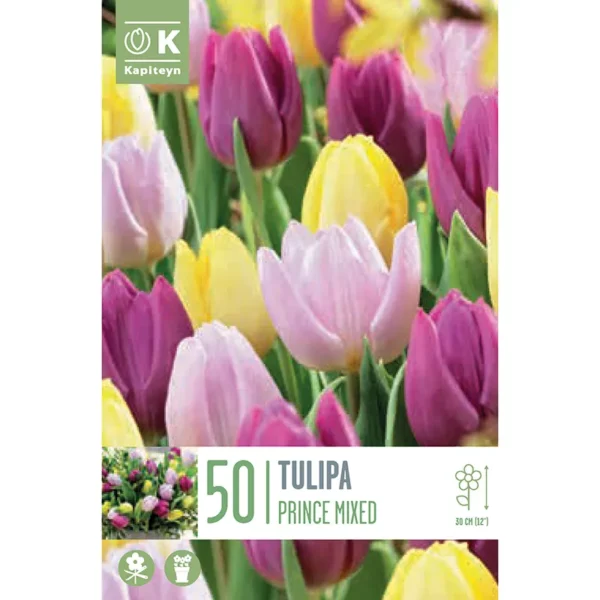 A bulb packaging cover showing a multi-coloured tulip flowerbed grown from the contained 50 mixed prince tulip bulbs.