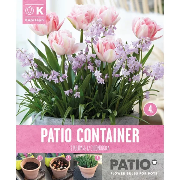 A bulb packaging cover featuring a planted pot with the blooms of the contained Tulip and Chionodoxa bulbs.