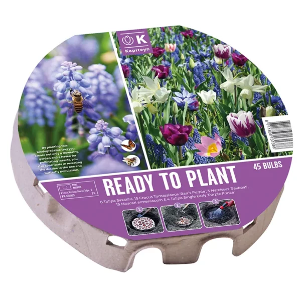 A ready-to-plant biodegradable tray of 45 mixed bulbs. The circular packaging contains an image of a bee on a muscari and an image of the intended mixed flower bed.