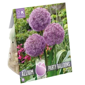 A pack containing an Allium 'Party Balloon' bulb. The pack features a large image of three large purple allium flower balls in a clump.
