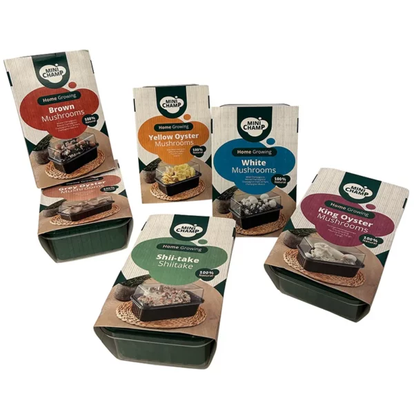 An assorted set of six different mushroom growing kit boxes with different flavour mushrooms.