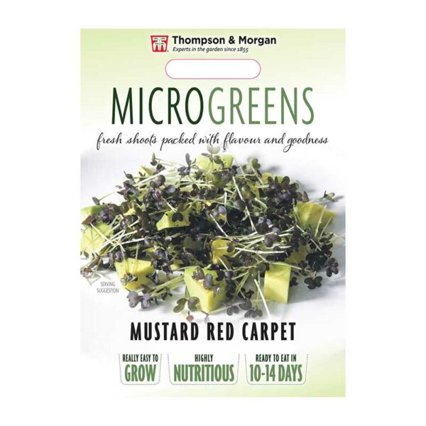 Thompson & Morgan Microgreens Mustard Red Carpet Seeds