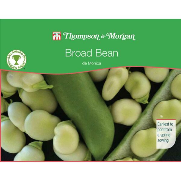 Thompson & Morgan Broad Bean de Monica Seeds