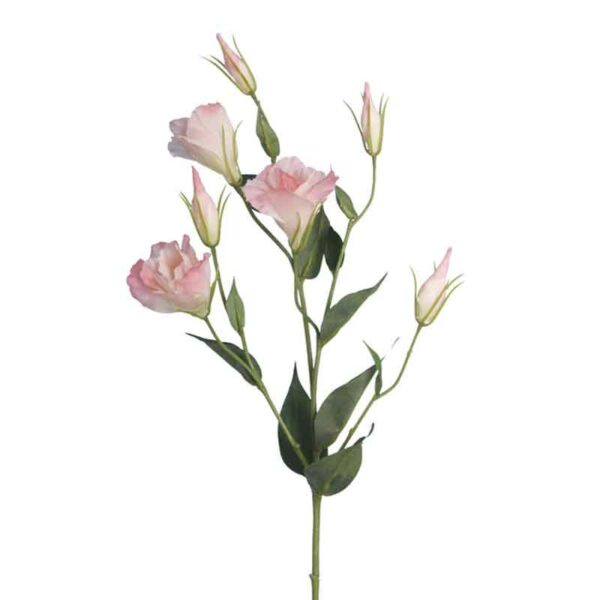 Floralsilk Pale Pink Lisianthus Spray (76cm)