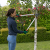 Using Wilkinson Sword Bypass Loppers