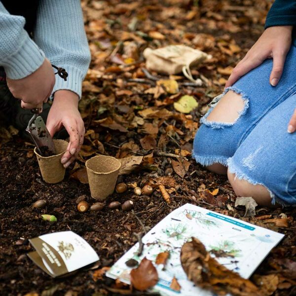 Planting a tree with the British Woodland Den Kit