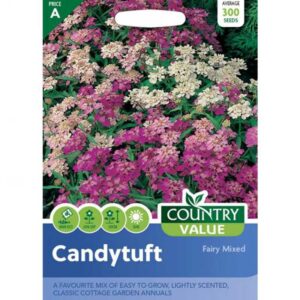 Country Value Candytuft Fairy Mixed Seeds