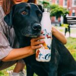 Chilly's Reusable Bottle - Emma Bridgewater Dogs (500ml) lifestyle
