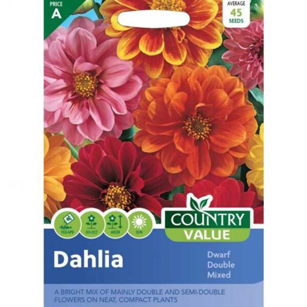 Country Value Dahlia Dwarf Double Mixed Seeds