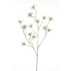 Green Clematis Seed Spray (105cm)