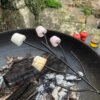 Firepits UK Marshmallow Fork with cooked Marshmallows