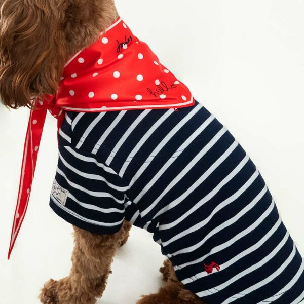 Joules Dog Harbour Top & Neckerchief Gift Set lifestyle with dog wearing - close up