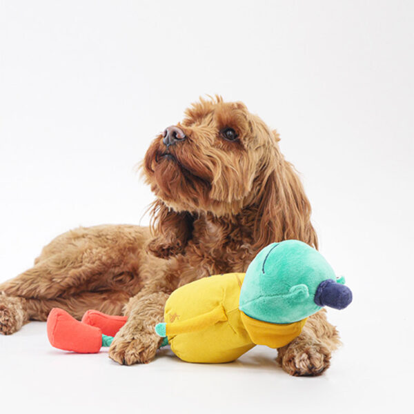 Joules Frog Dog Toy lifestyle playing with toy
