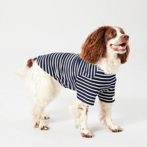 Joules Harbour Dog Top with dog wearing