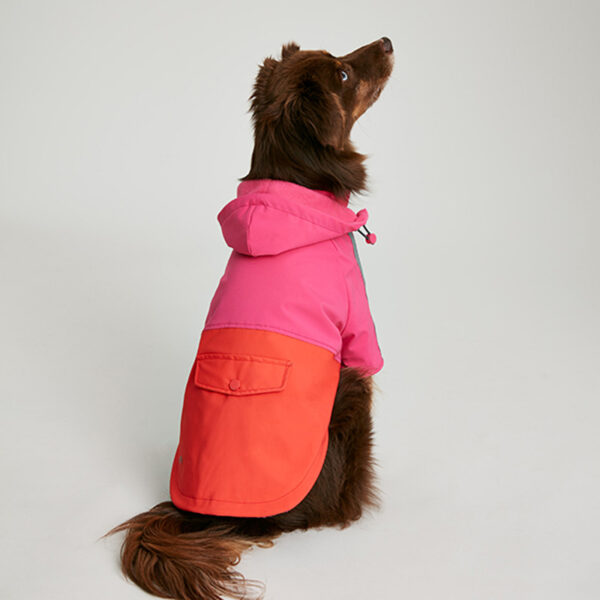 Joules Lydford Dog Raincoat lifestyle with dog wearing back view