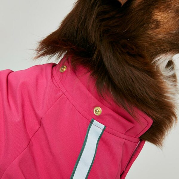 Joules Lydford Dog Raincoat lifestyle with dog wearing close up view