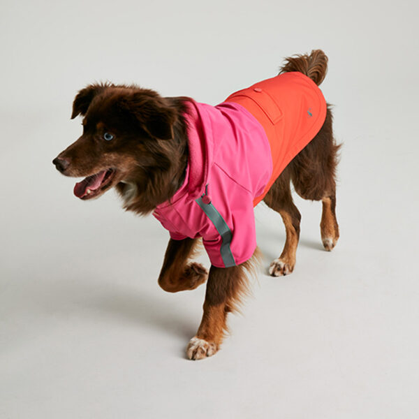 Joules Lydford Dog Raincoat lifestyle with dog wearing