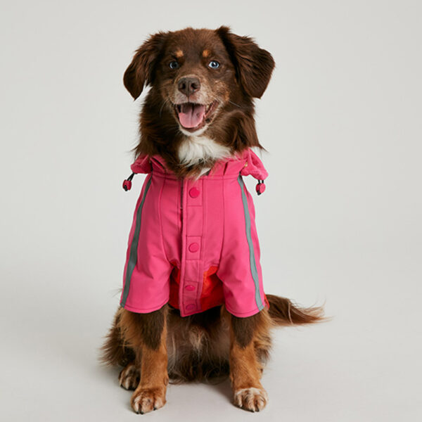 Joules Lydford Dog Raincoat lifestyle with dog wearing front view